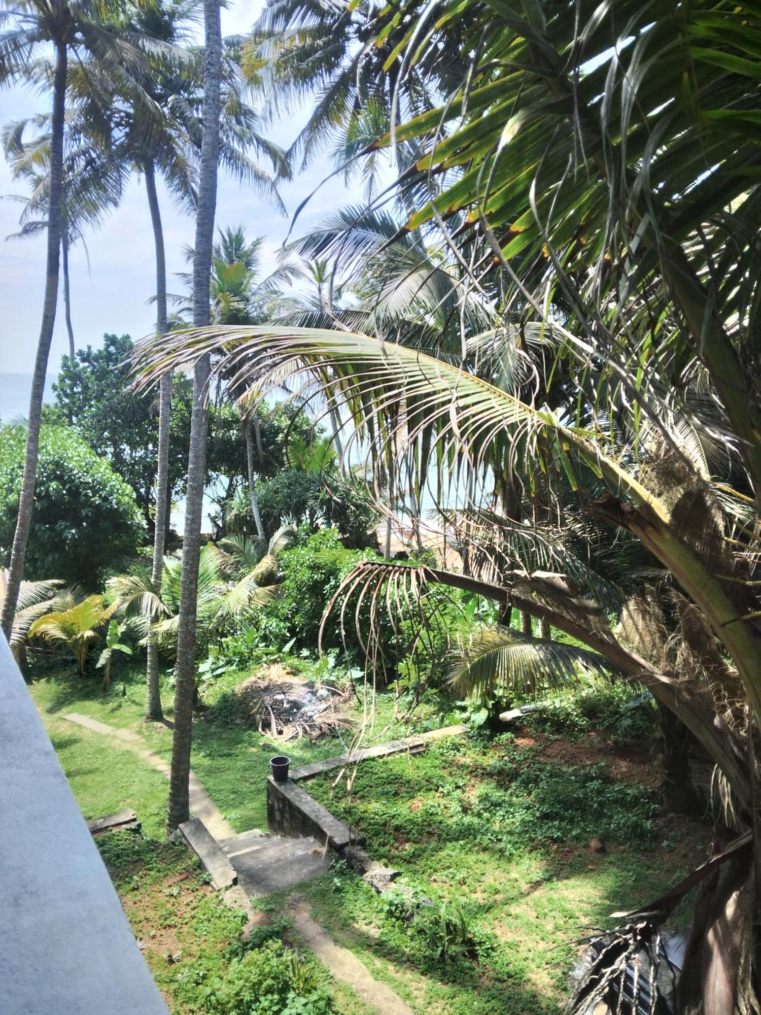 Sunray Rest - Beach View Homestay Mirissa Kültér fotó